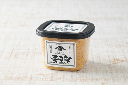 【蔵元直送 】松尾醸造場 天然醸造 麦味噌 500g 九州味噌 無添加 宮崎