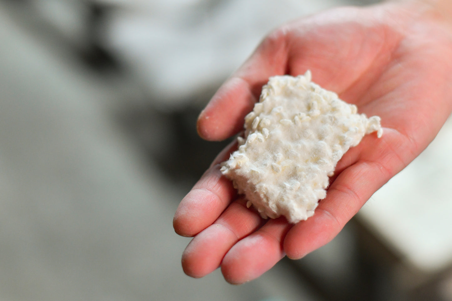 川添酢蔵 五分搗き米 甘酒 こうじ 500g (乾燥タイプ) 米糀 九州産米使用 手作り甘酒 塩麹 醤油麹作りに