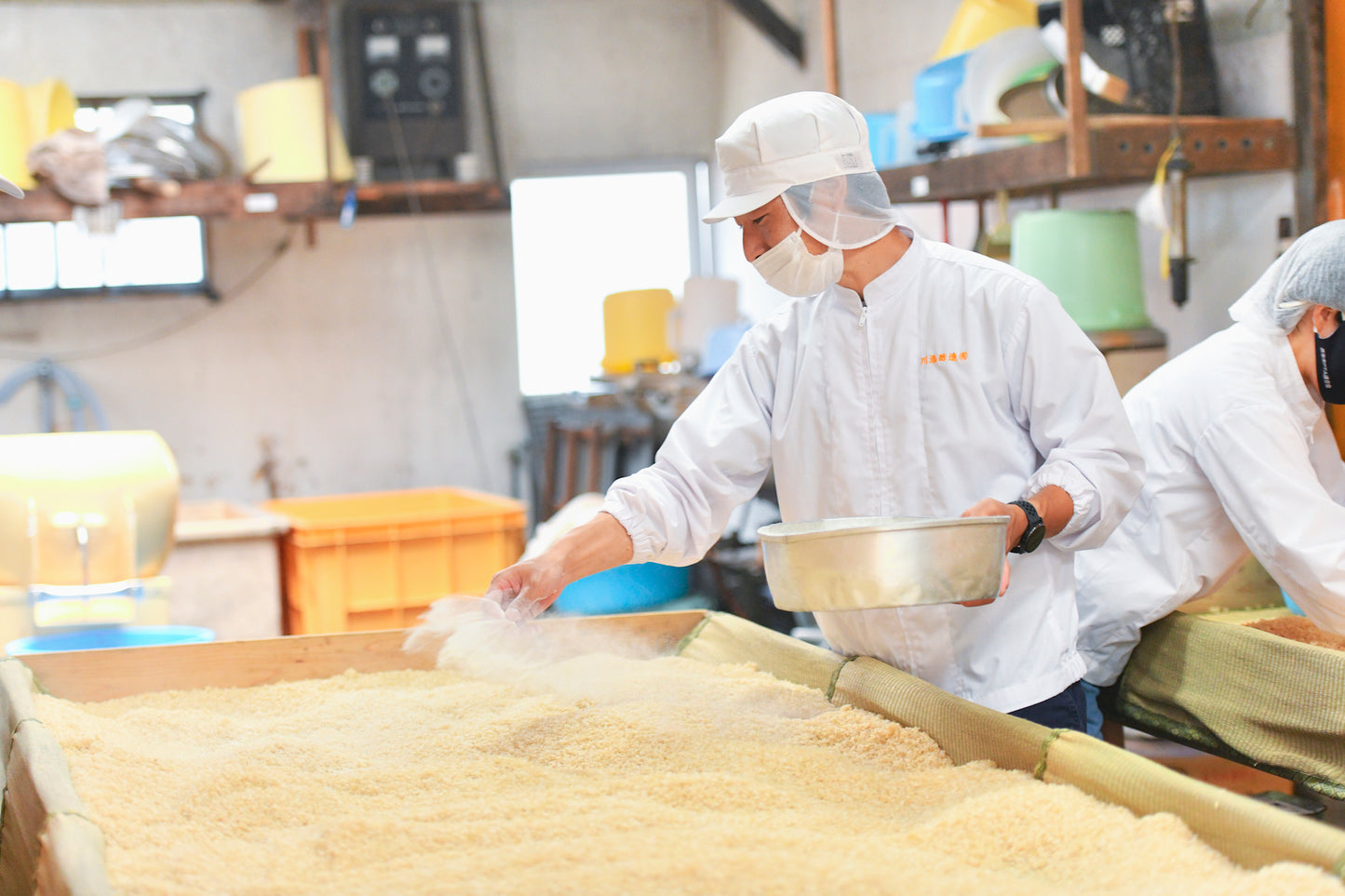 創業明治33年 川添酢蔵 甘酒こうじ 500g (乾燥タイプ) 米糀 九州産米使用 手作り甘酒 塩麹 醤油麹に