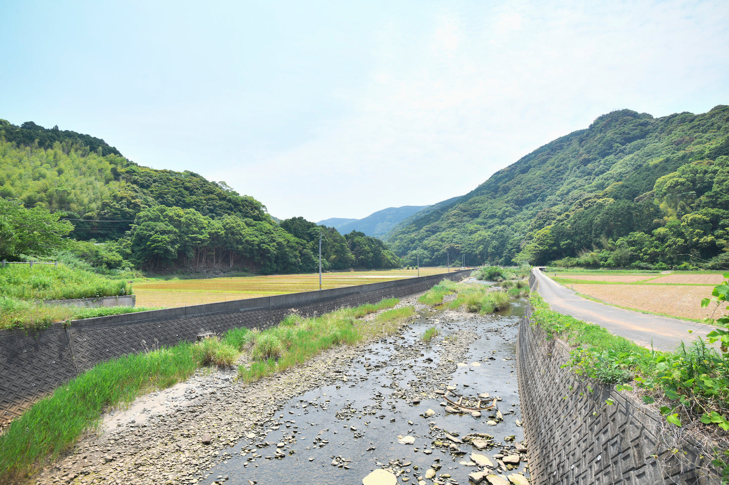 飲む酢 西海ゆず 200ml 長崎 無農薬化学肥料不使用 玄米酢使用 (川添酢蔵) (常温配送)