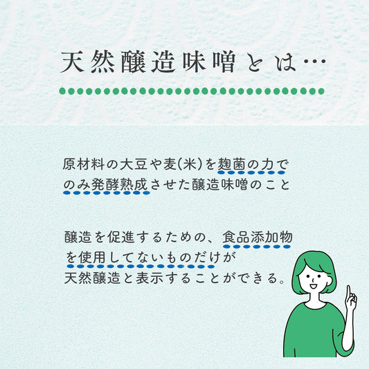 天然醸造 佐賀県産大豆 米使用 米味噌 700g 佐賀地味噌 白味噌 九州味噌