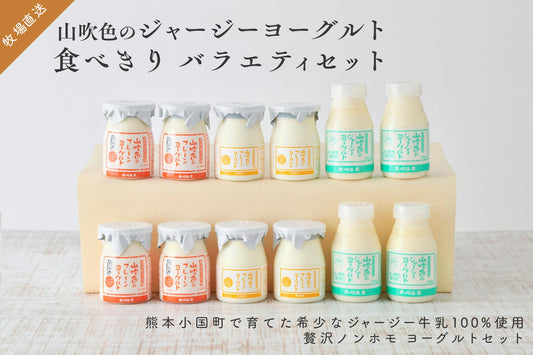 【高村牧場直送】 希少 熊本 ジャージー牛 ヨーグルト 食べきりセット ノンホモ生乳 100%使用