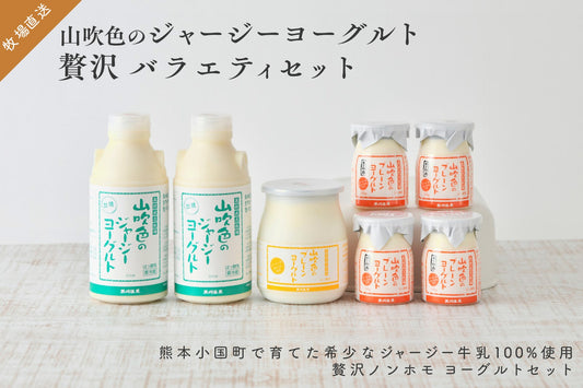 【高村牧場直送】 希少 熊本 ジャージー牛 ヨーグルト 贅沢セット ノンホモ生乳 100%使用 (チルド配送)