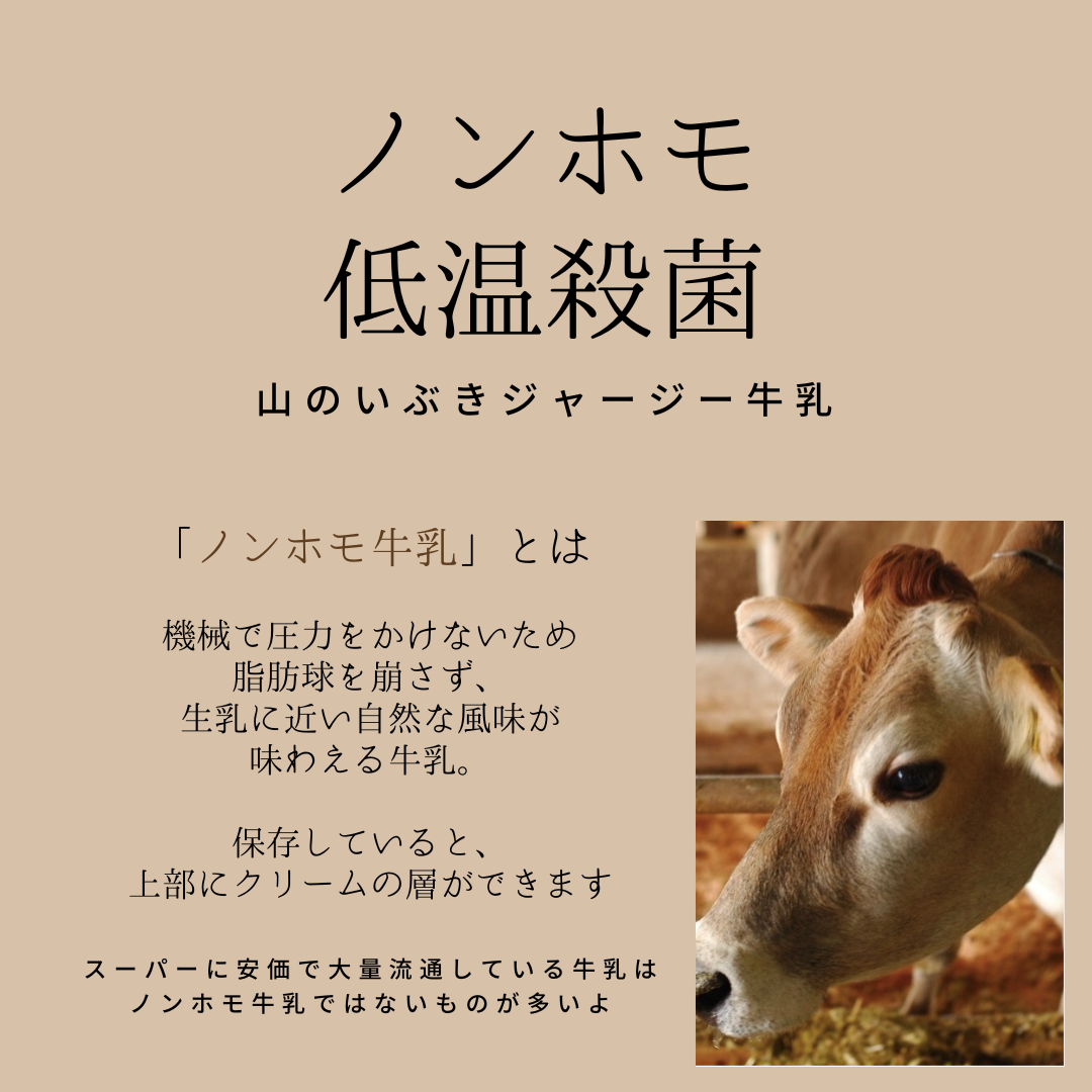 【高村牧場直送】 希少 熊本 ジャージー牛 ヨーグルト 食べきりセット ノンホモ生乳 100%使用